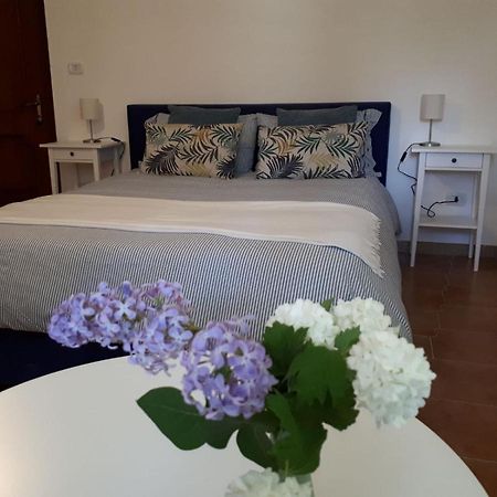B&B Casa Di Laura Benevento Eksteriør billede